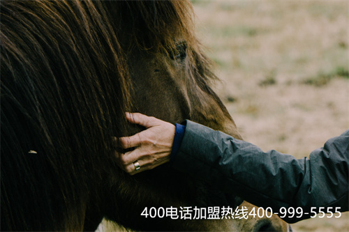 (400電話初裝費)(鄭州400電話安裝費用)