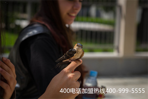 (400電話怎么辦理商客通在線)(企業400電話服務商)